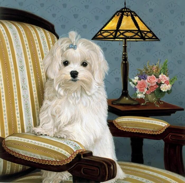 Картинки добрый вечер октября с животными PELUCHE... Animaux, Tout les animaux, Chien