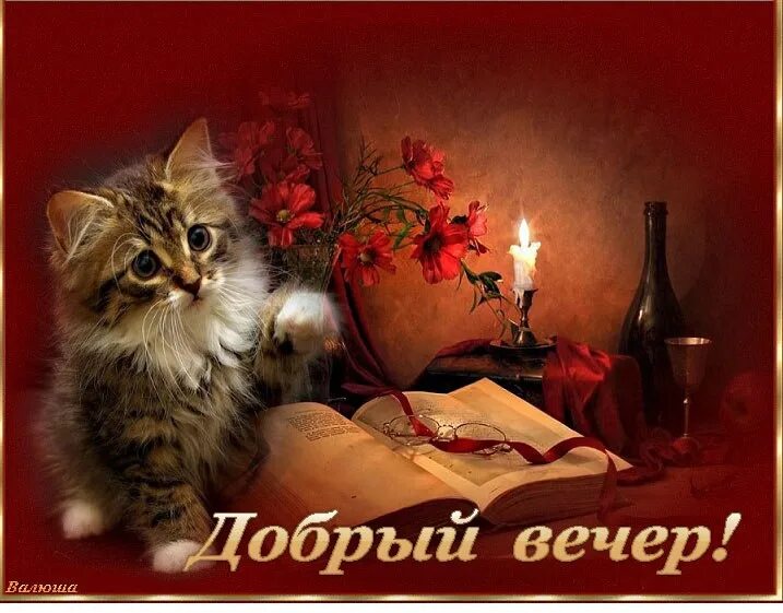 Картинки добрый вечер октября с животными ПО СЕКРЕТУ ВСЕМУ СВЕТУ... КАК ПРОШЕЛ ВАШ ДЕНЬ? ДЕЛИМСЯ В КОММЕНТАРИЯХ НАСТРОЕНИЕ
