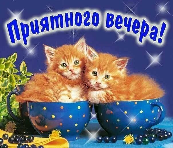Картинки добрый вечер октября с животными Добрый вечер! Cat diy, Cats, Diy painting