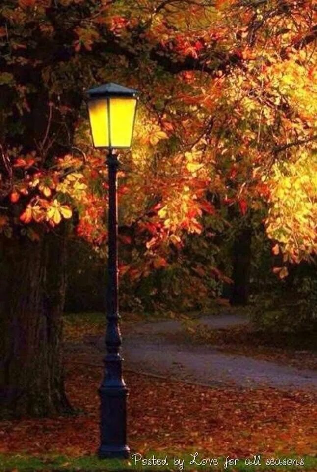 Картинки добрый вечер осень дождь Pin by Lady Vintage on buiten Autumn scenery, Autumn landscape, Autumn scenes