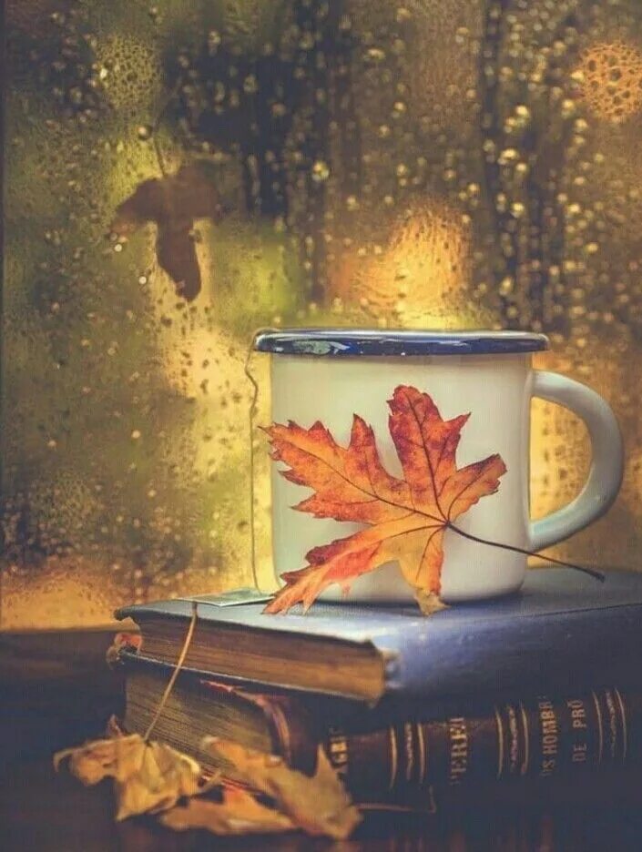 Картинки добрый вечер осень дождь Pin on Autumn Golds Fall pictures, Autumn inspiration, Autumn photography