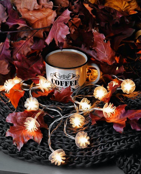 Картинки добрый вечер осенние необычные гифки Pin by Ivanhoe on Nice cup of coffee Coffee vs tea, Fun cup, Aesthetic coffee