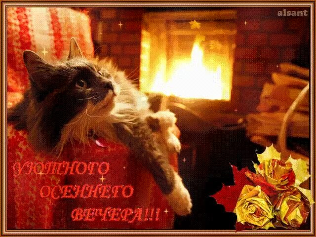 Картинки добрый вечер осенние прикольные позитивные Бесплатные открытки с добрым вечером New community, Community, Current