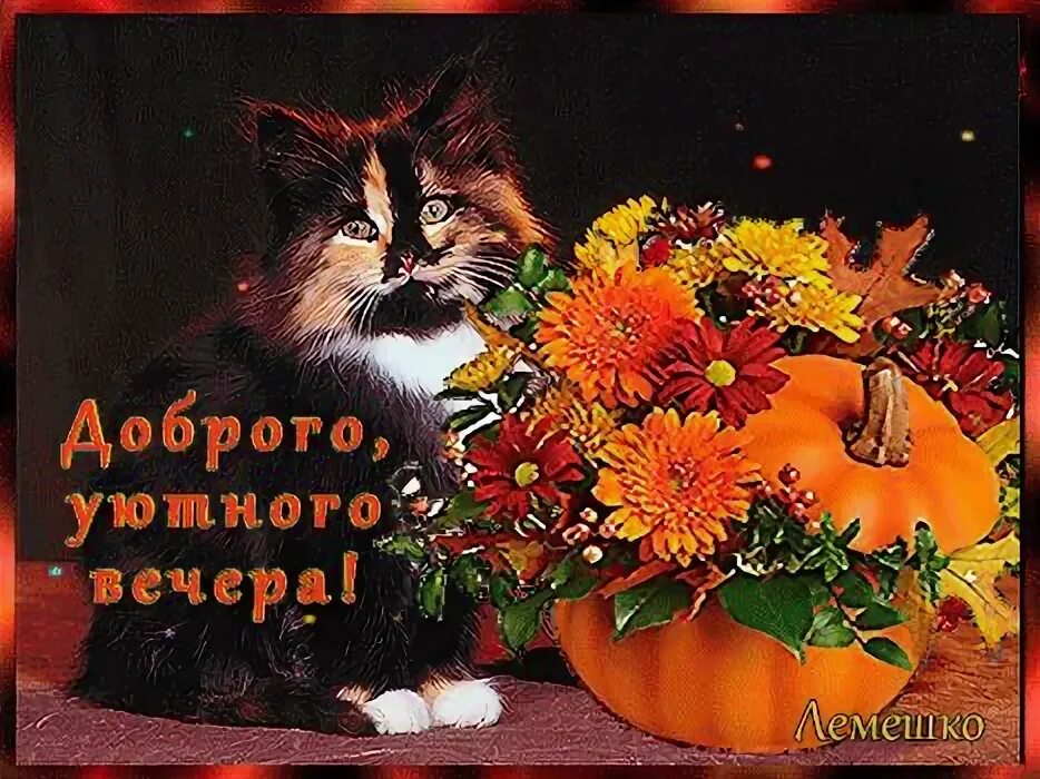 Картинки добрый вечер осенние прикольные позитивные Открытки с пожеланиями на вечер Cats, Painting, Poster