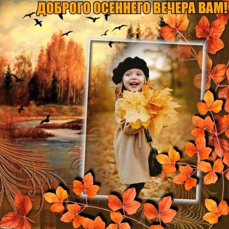 Картинки добрый вечер осенние прикольные позитивные Добрый вечер, наши милые друзья !!! 2018 Все мы родом из деревни... ВКонтакте