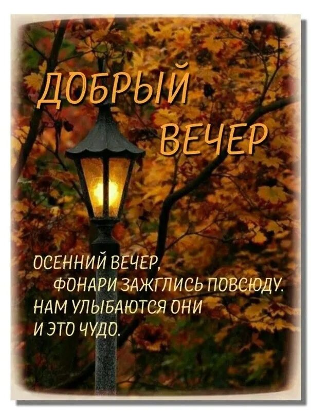 Картинки добрый вечер осенние прикольные позитивные Добрый вечер, друзья!!! 2023 ДЕРЕВЕНЬКА - РОДНЫЕ ПРОСТОРЫ! ВКонтакте