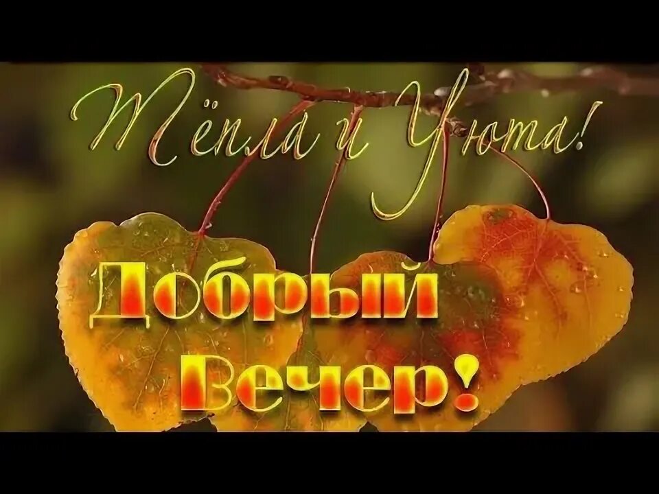 Картинки добрый вечер осенние прикольные смешные Тёплого, осеннего вечера!!! - YouTube