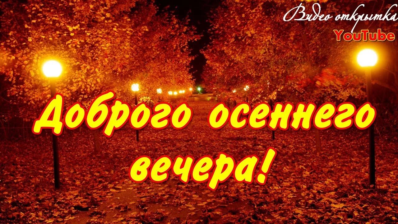 Картинки добрый вечер осенние прикольные смешные Доброго осеннего вечера Музыкальная видео открытка для друзей - YouTube