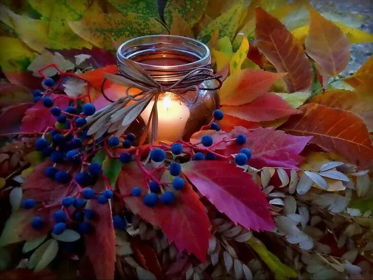Картинки добрый вечер осенний мотив Pin de Olga Ольга en Натюрморт Deco, Otoño