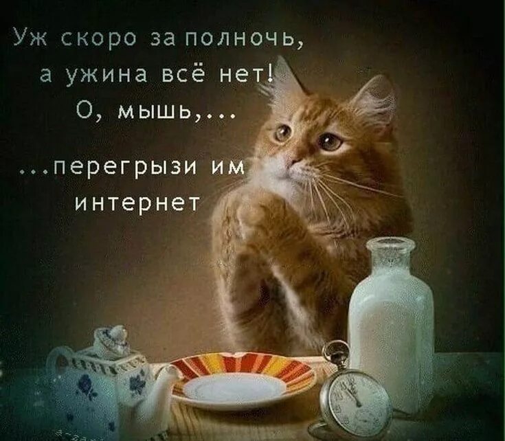 Картинки добрый вечер позитивные прикольные поднимающие настроение Pin op Цитаты