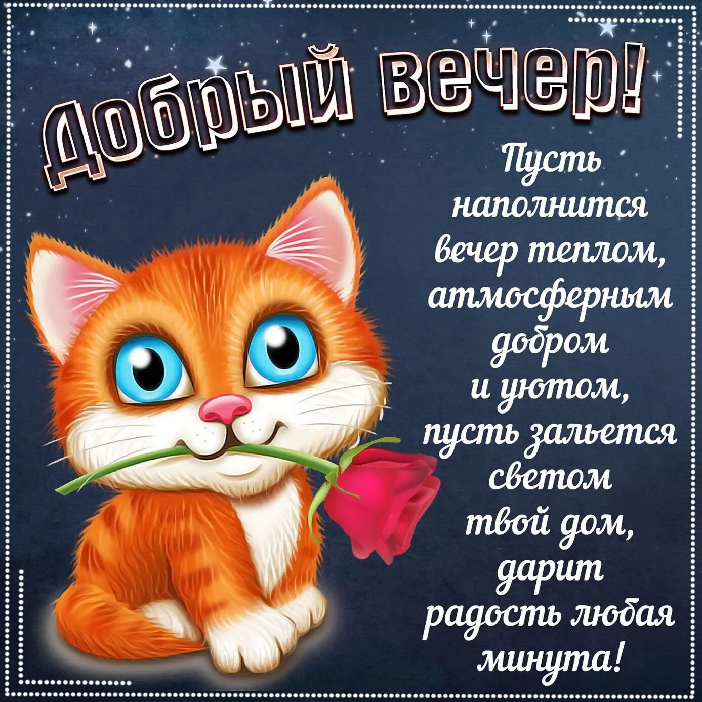 Картинки добрый вечер позитивные прикольные поднимающие настроение Картинки прикольные с надписями пожелание: найдено 73 изображений