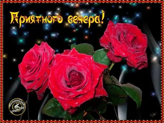 Картинки добрый вечер прекрасной женщине Pin auf Добрый вечір