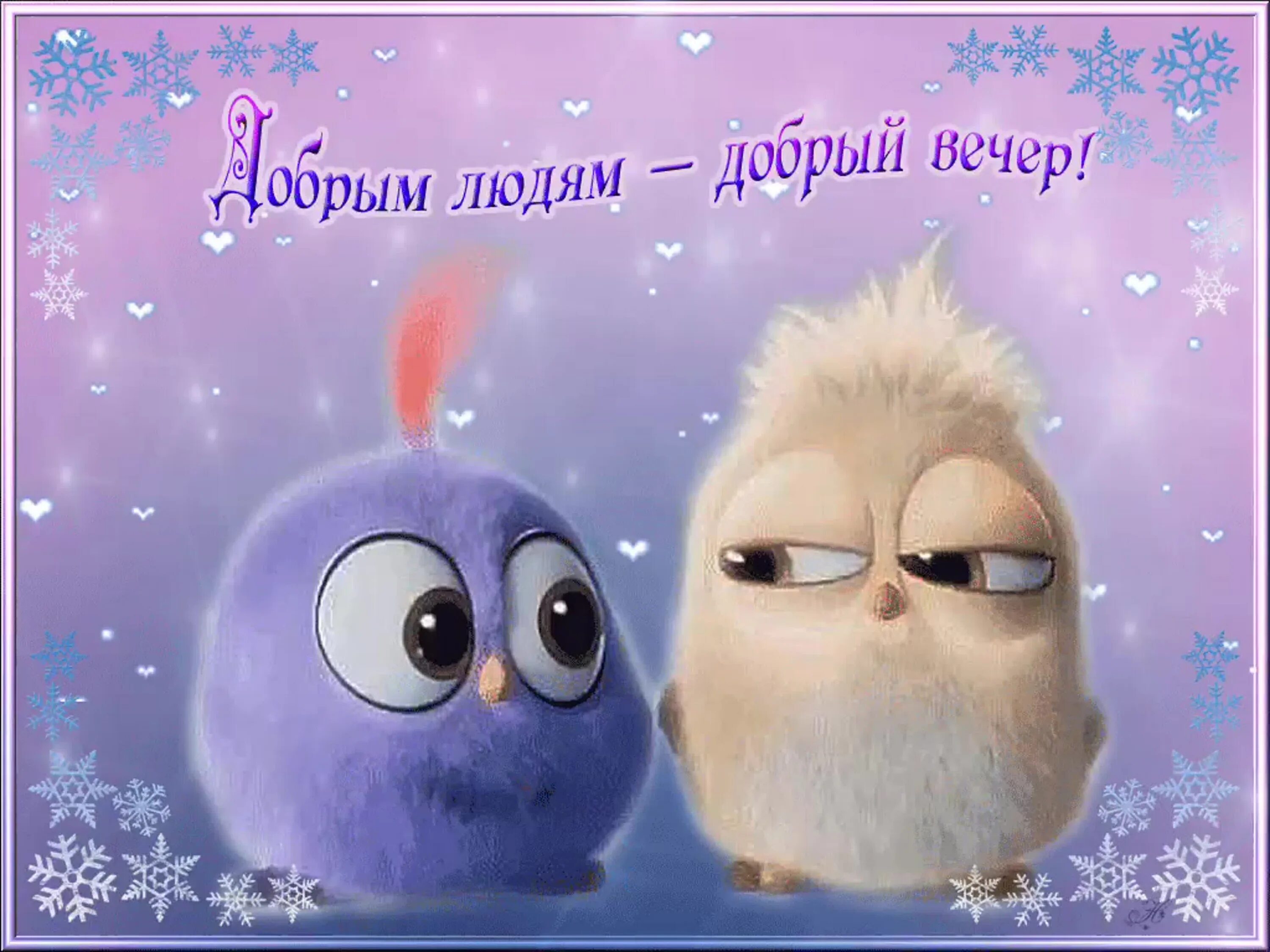 Картинки добрый вечер прикольные позитивные женщине Доброго веселого вечера прикольные картинки: найдено 90 изображений
