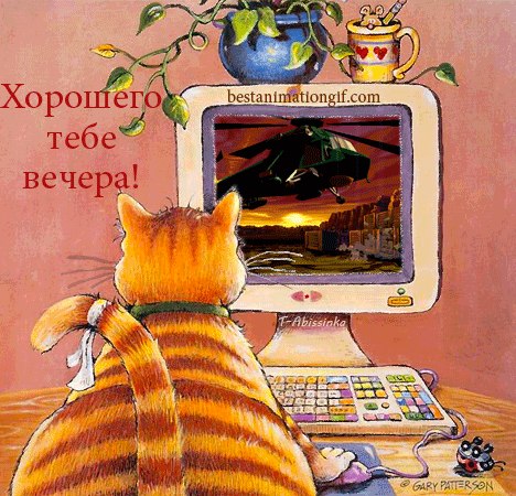 Картинки добрый вечер прикольные смешные бесплатно Российский Сервис Онлайн-Дневников Открытки, Анимация, Картинки