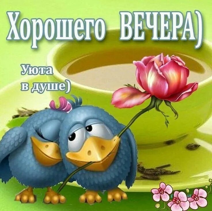 Картинки добрый вечер прикольные смешные бесплатно Пин от пользователя Marina на доске Доброе утро... Хорошего дня... Уютного вечер