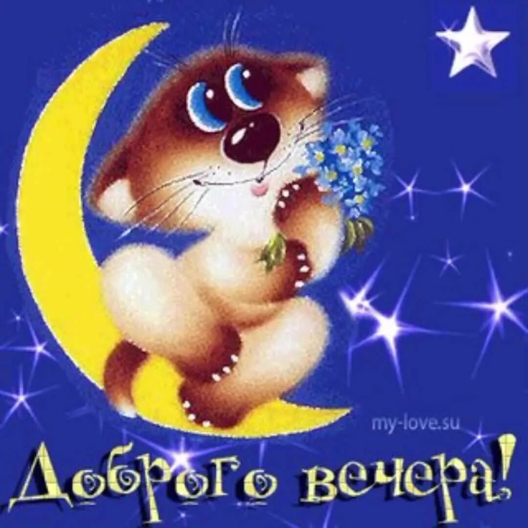 Картинки добрый вечер прикольные смешные бесплатно скачать Смешного вечера картинки с надписями: найдено 89 изображений