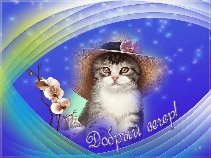 Картинки добрый вечер прикольные смешные бесплатно скачать Гид на Тенерифе on Instagram: "Добрый вечер, друзья! #добрыйвечер #добрыйвечердр