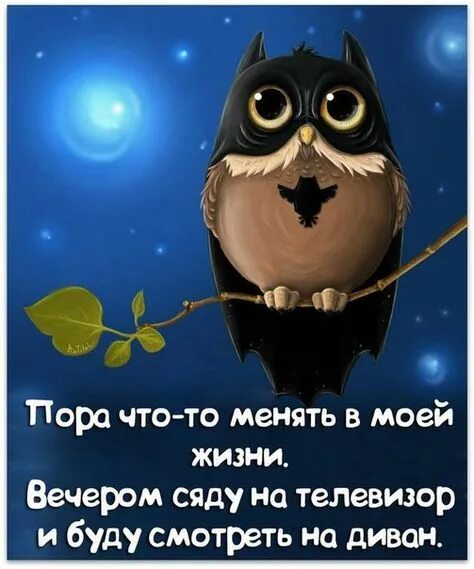 Картинки добрый вечер прикольные женщине смешные Пин от пользователя Ротань Галина Дмитриевна на доске Мысли вслух в 2023 г Смешн