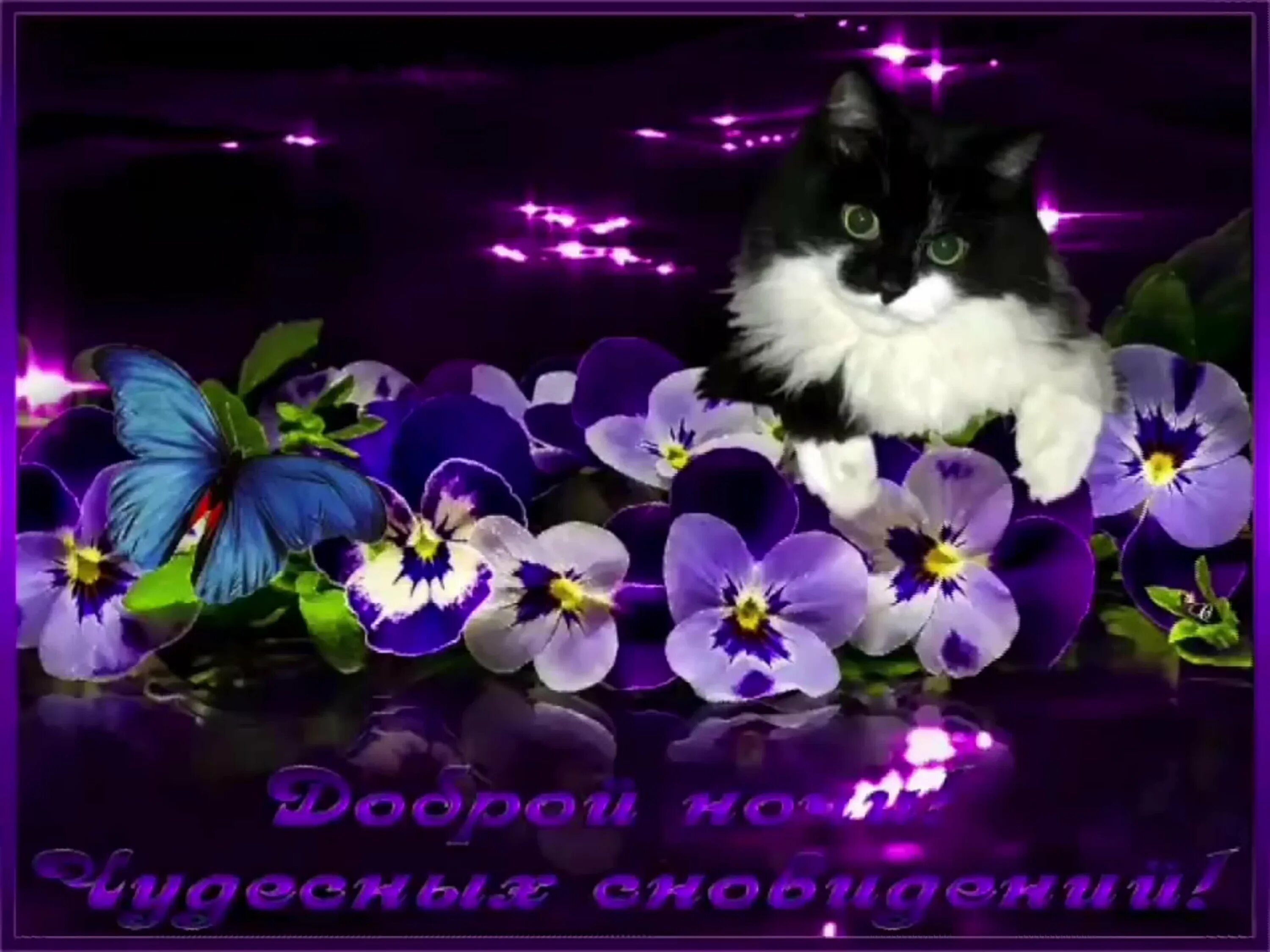 Картинки добрый вечер приятных снов мерцающие Прекрасного Вечера И Добрых Снов - 66 фото