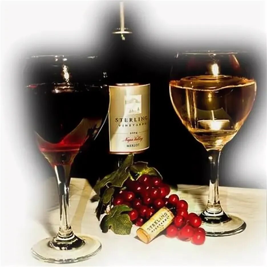 Картинки добрый вечер с бокалами O vinho e a rosa