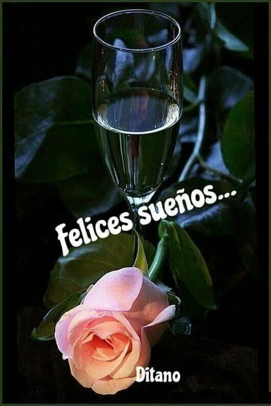 Картинки добрый вечер с бокалами Pin by Libia Ocampo on Buenas noches 11 Beautiful roses, Love rose flower, Rose 