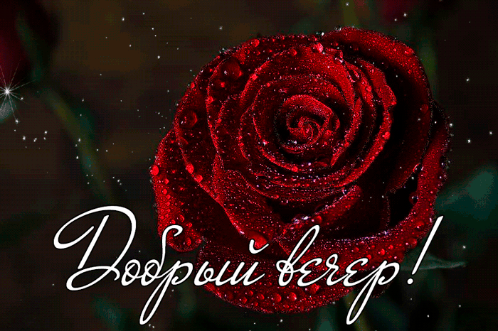 Картинки добрый вечер с именами Pin by AnŽelikAranina on Evening ... night ... Love you gif, Love wallpaper, Gif