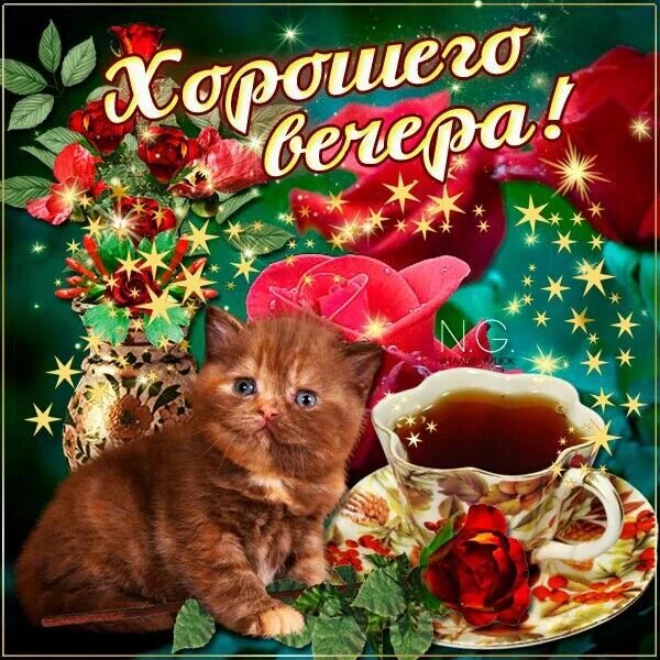 Картинки добрый вечер с кошечками Пин от пользователя S.O.V.A Nataffie на доске Добрый вечер ☕ Милые открытки, Спо