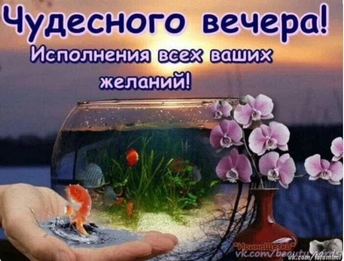 Картинки добрый вечер с пожеланиями необычные прикольные Пин на доске Вечер Вдохновляющие жизненные цитаты, Вдохновляющие, Жизненные цита