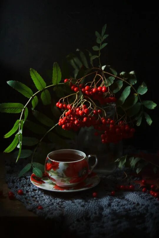 Картинки добрый вечер с рябиной Nice to meet you.. Winter tea, Fruit art, Flowers