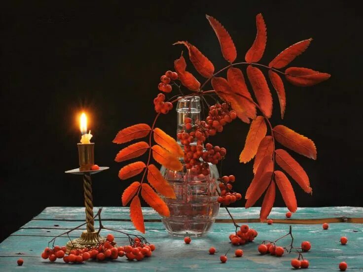 Картинки добрый вечер с рябиной Pin by Elena Coca Ion on Candles, Christmas..., New Year Candles, Painting, Art