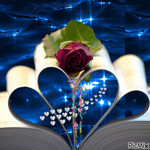 Картинки добрый вечер с сердечками 5279631_ed804.gif (480 × 480) Love rose, Beautiful gif, Rosé gif