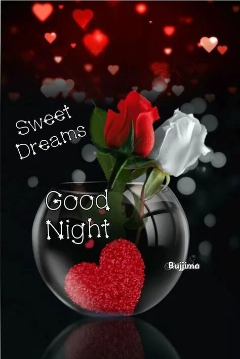 Картинки добрый вечер с сердечками Top 10 good night rose ideas and inspiration