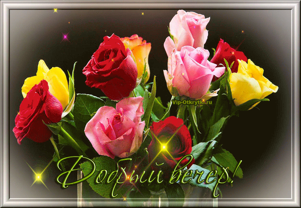 Картинки добрый вечер с цветами Добрый вечер Rose, Floral, Heart sign