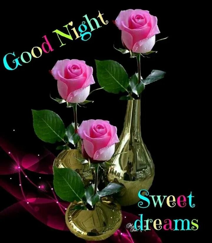 Картинки добрый вечер с цветами Pin by Ravinesh Kumar on Good night Window box flowers, Beautiful roses, Beautif
