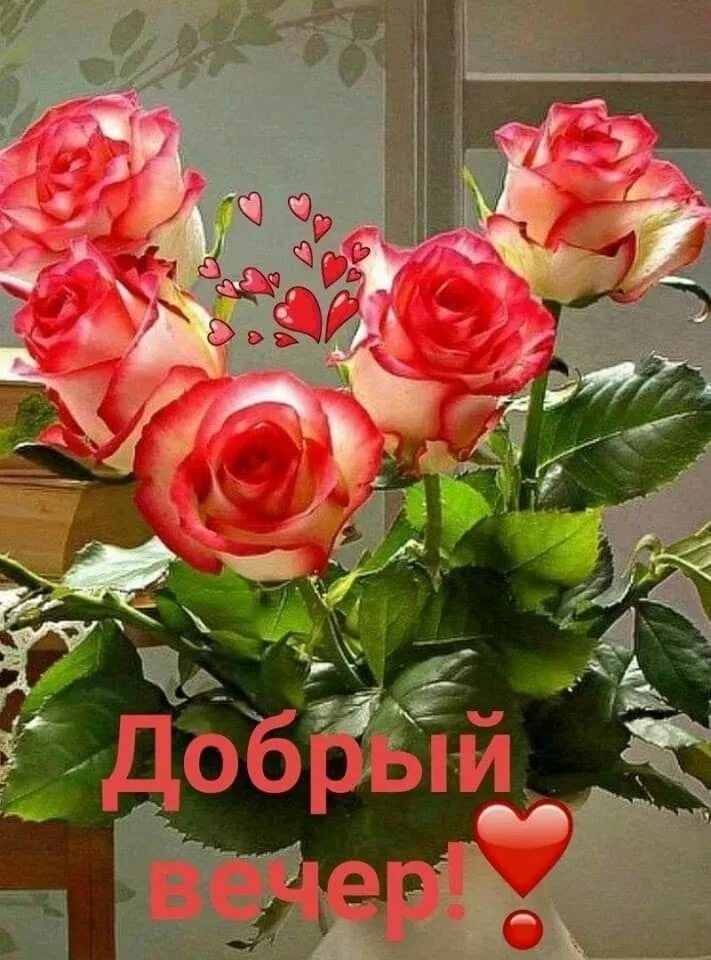 Картинки добрый вечер с цветами Пин на доске Добрый вечер, доброй ночи Семена цветов, Красные цветочные композиц