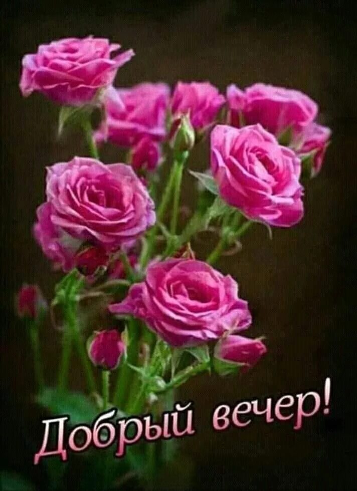 Картинки добрый вечер с цветами Pin di Маргарита Решта su Вечер Notte, Buona notte
