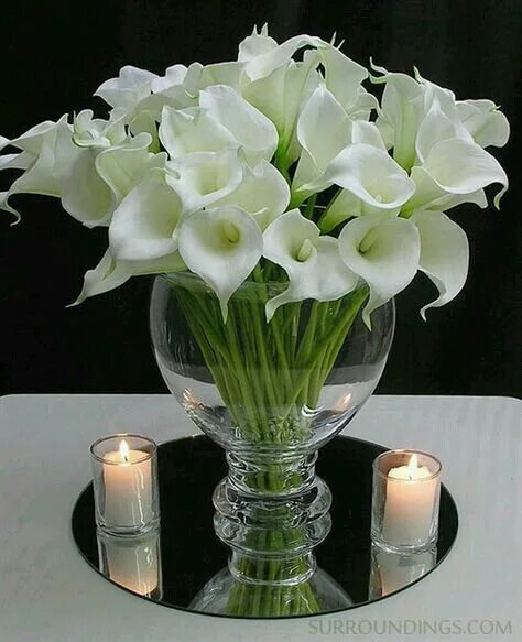 Картинки добрый вечер с цветами Pin by Mòni Mtz on Centros de mesa Lily centerpieces, Calla lily centerpieces, C