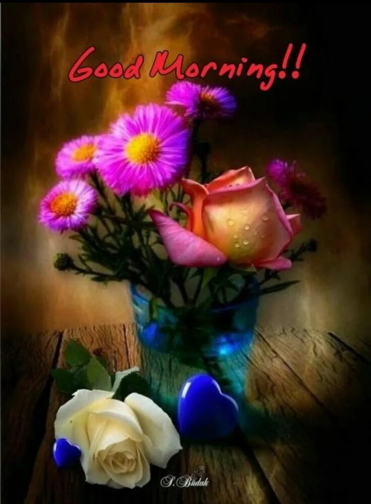 Картинки добрый вечер с цветами Pin on Good morning! Good morning flowers, Good morning roses, Beautiful flowers