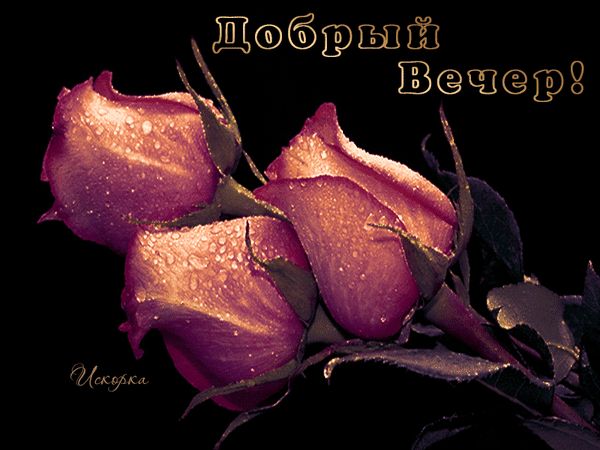 Картинки добрый вечер с цветами мерцающие Анимированная открытка Добрый вечер розы на черном фоне