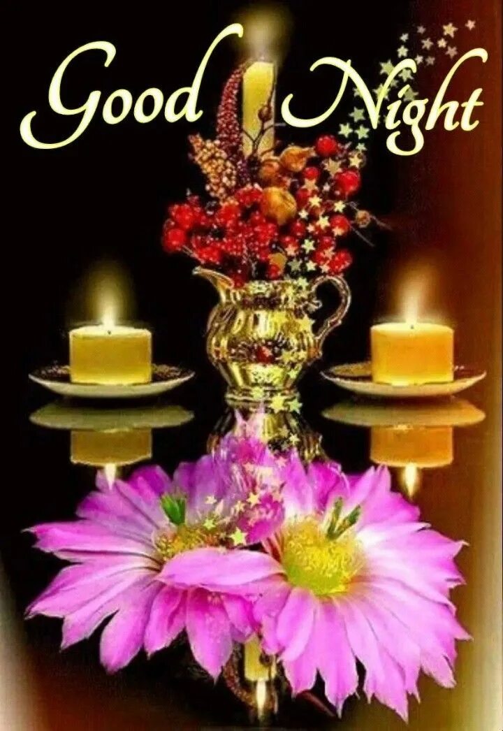 Картинки добрый вечер с цветами мерцающие Pin su Good Night Fiori, Immagini, Candele