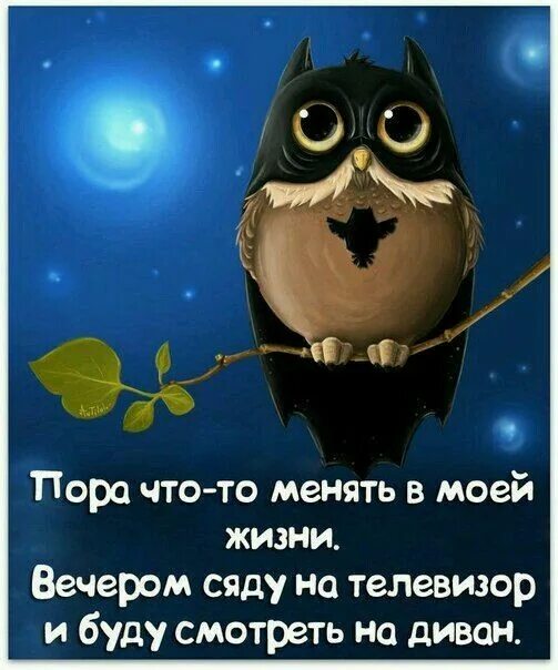 Картинки добрый вечер с юмором с надписью Pin by Сергей Е on Юмор картинки Funny quotes, Cool words, Fun