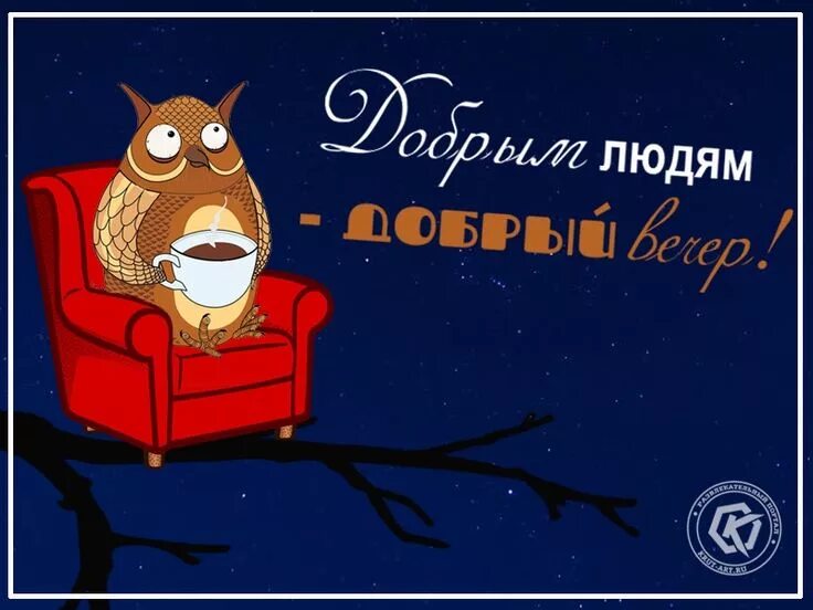 Картинки добрый вечер с юмором с надписью Забавная открытка с пожеланием доброго вечера с изображением совы. Подарите откр
