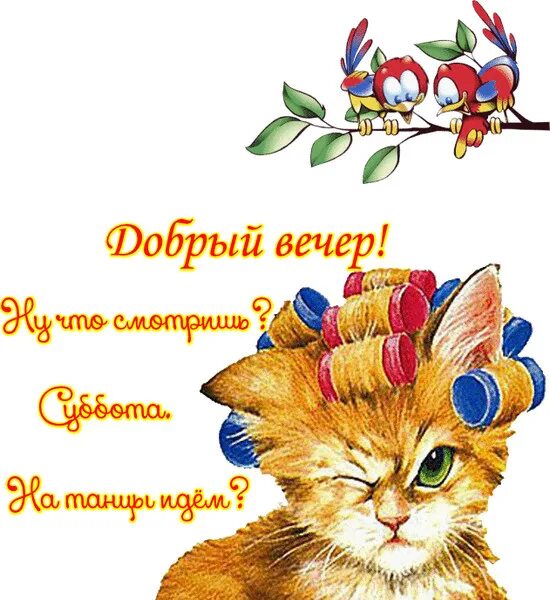 Картинки добрый вечер с юмором с надписью СУББОТНИЙ ПОЗИТИВЧИК ДЛЯ ДРУЗЕЙ! - Просто ДОБРОЕ УТРО , пользователь Галина Алик