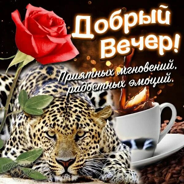 Картинки добрый вечер сентября понедельника галерея Ночь, Романтический вечер, Доброе утро