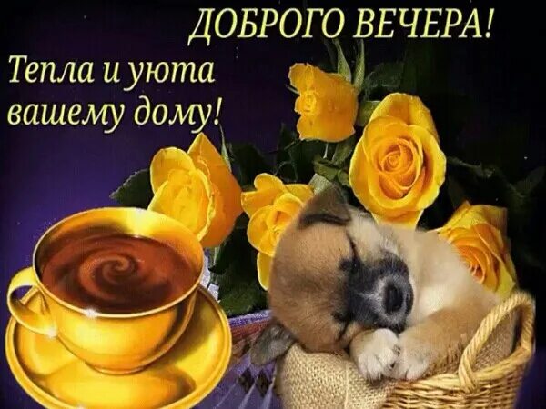 Картинки добрый вечер сентября понедельника С добрым утром! 2021 Доброе утро Спокойной ночи Картинки Любовь ВКонтакте