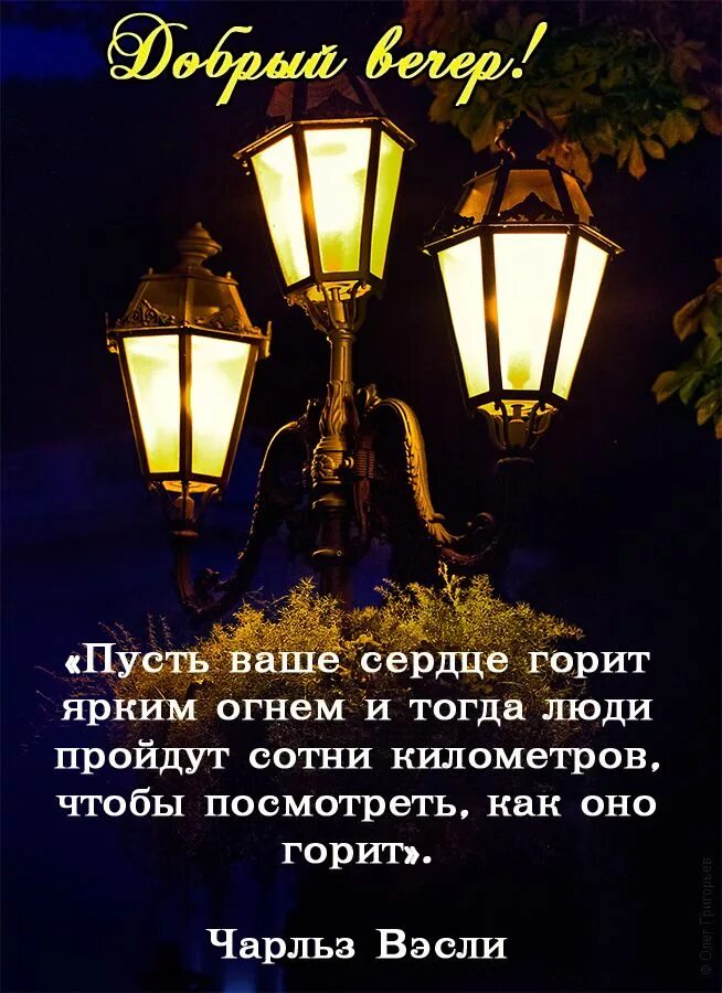 Картинки добрый вечер со смыслом новые Do Not Disturb - Inspirational Quote