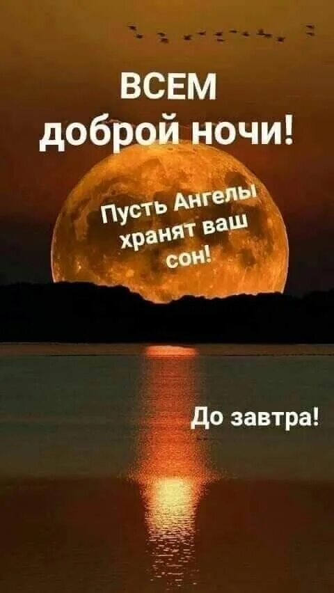 Картинки добрый вечер со смыслом новые Пин от пользователя Anna на доске Bilder Юмор про сон, Ночь, Лучшие цитаты