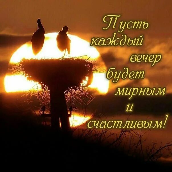 Картинки добрый вечер со смыслом новые Пин от пользователя Болдырева Марина на доске Добрый вечер Счастливые картинки, 