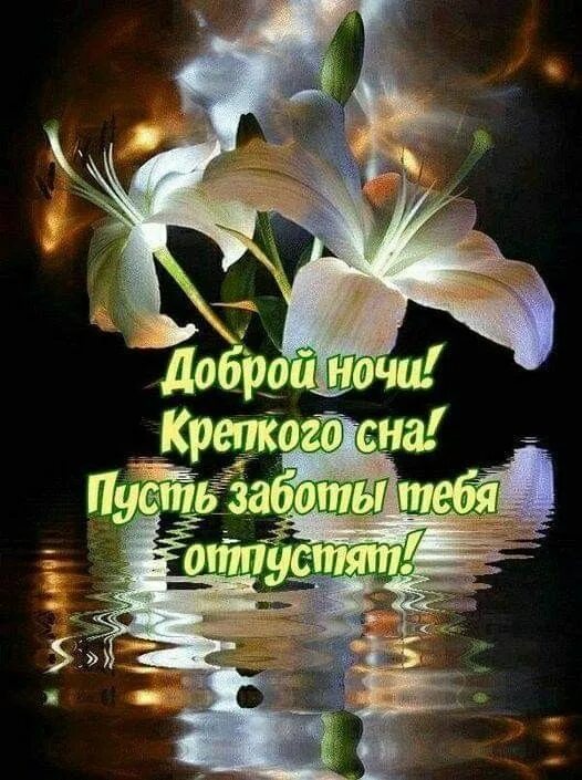 Картинки добрый вечер спокойной ночи любимая Пин на доске СОН Ночь, Спокойной ночи, Цитаты про ночь