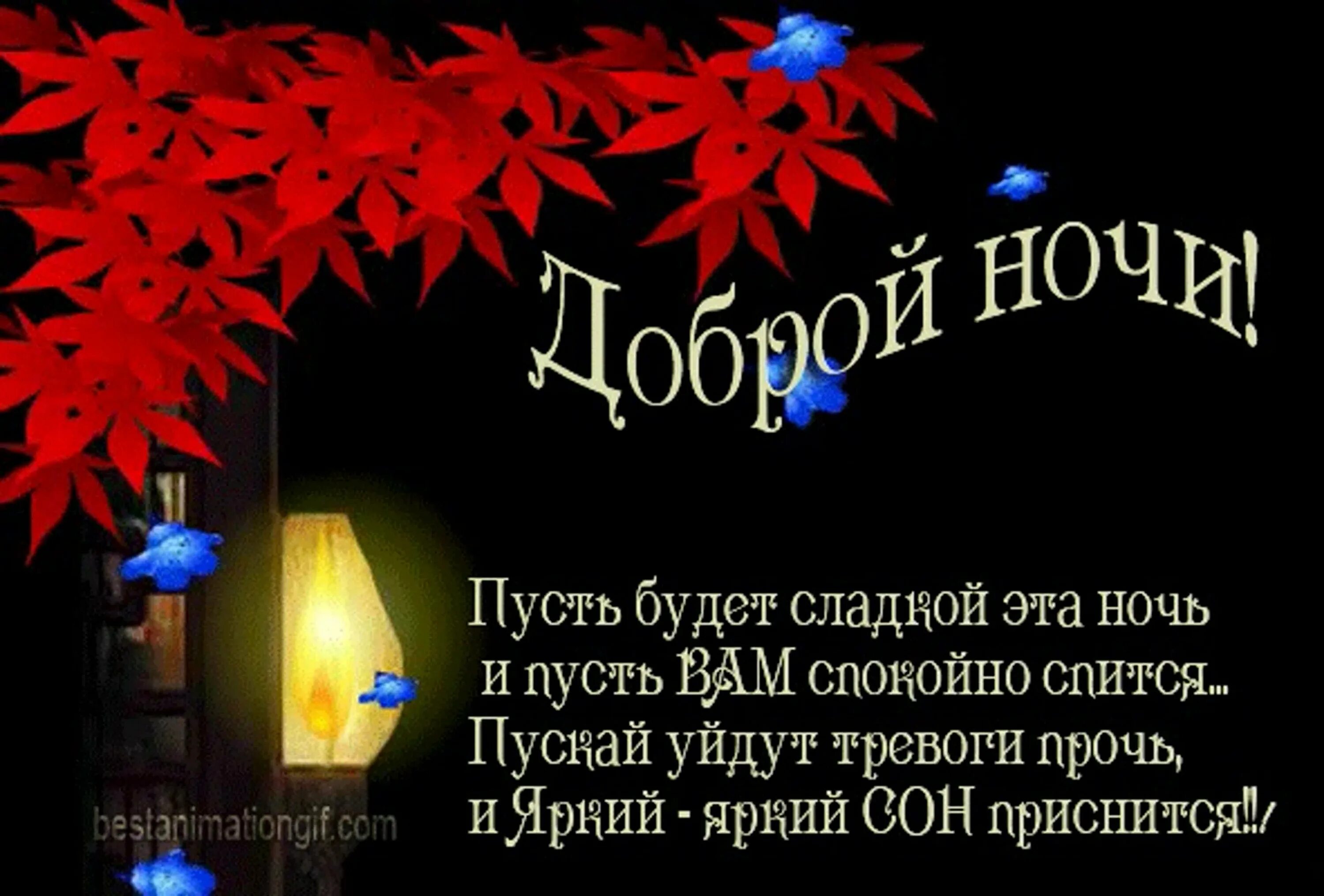 Картинки добрый вечер стихи доброй ночи Почему говорят доброй ночи: найдено 87 изображений